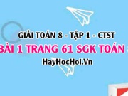 Giải bài 1 trang 61 Toán 8 Tập 1 SGK Chân trời sáng tạo